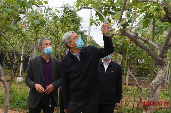 尹弘：尹弘在南阳调研时强调发挥优势因地制宜探索符合区域特点的发展路子