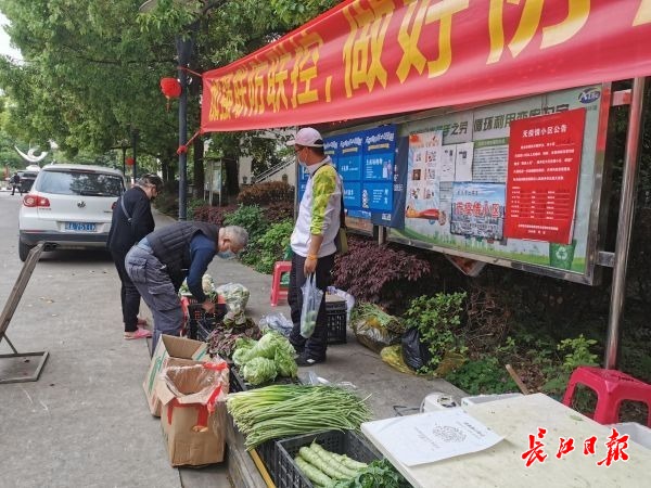 [志愿者]这个小区有个“吼吼”志愿者小分队，参与值守守好小区门