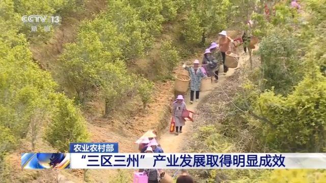 农民：农业农村部：“三区三州”贫困县已引进和培育1200多家龙头企业 5.6万家农民合作社