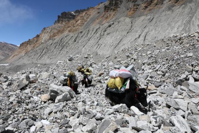 【中国移动】5G上珠峰 有速度更有高度！