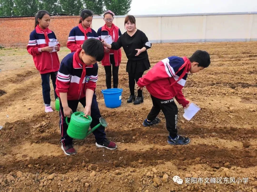 幼儿园割小麦、刨花生、蒸馒头…河南中小学教育的“新打开方式”