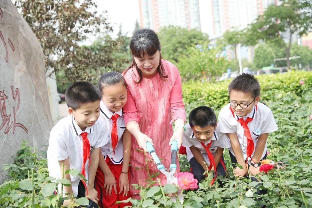 幼儿园割小麦、刨花生、蒸馒头…河南中小学教育的“新打开方式”