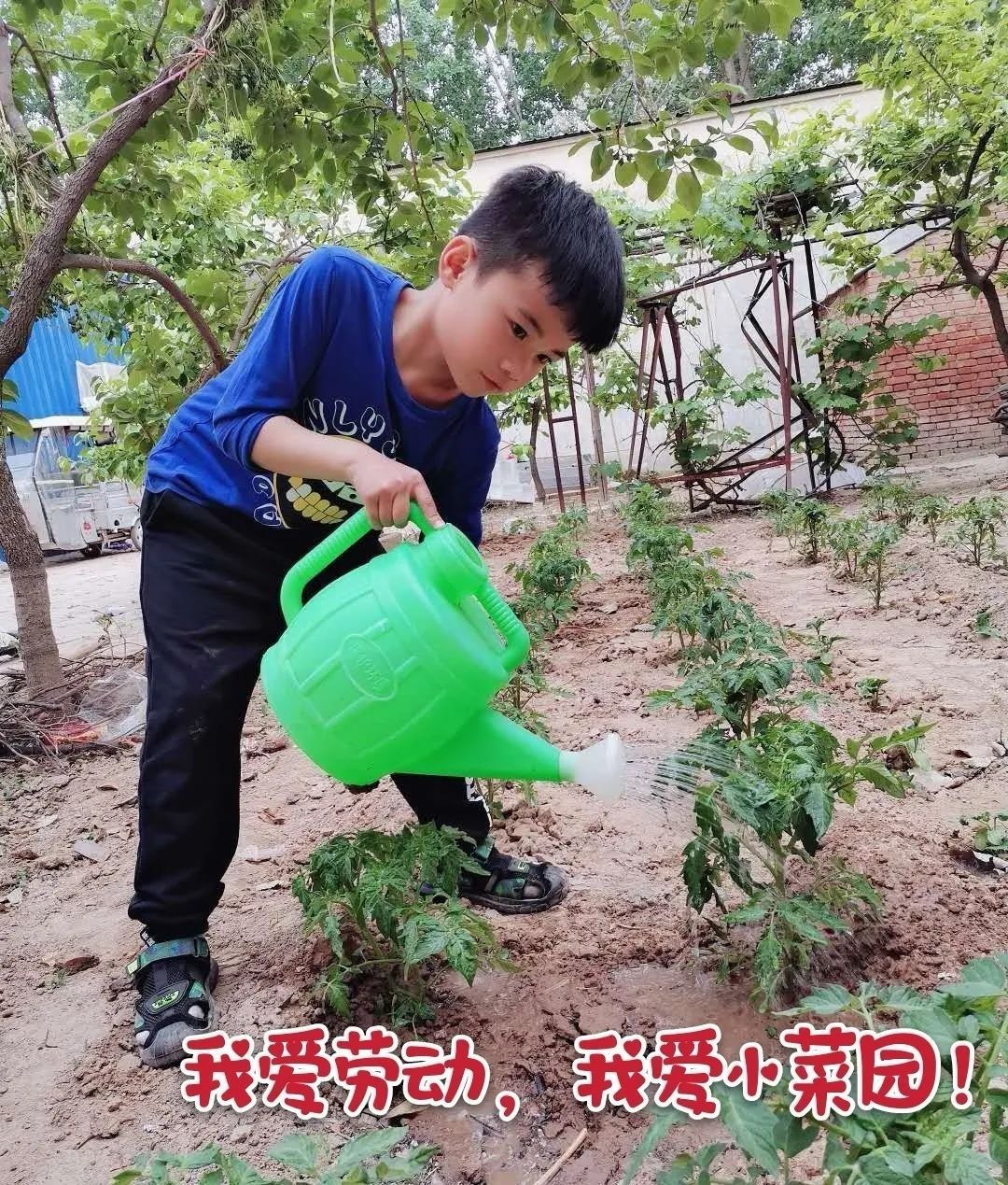 幼儿园割小麦、刨花生、蒸馒头…河南中小学教育的“新打开方式”