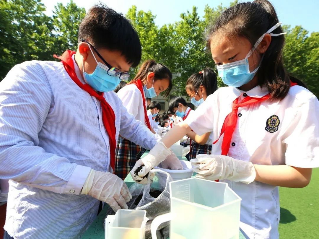 幼儿园割小麦、刨花生、蒸馒头…河南中小学教育的“新打开方式”