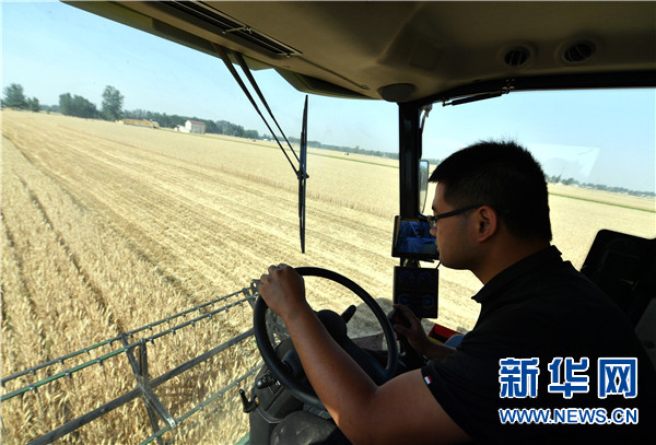 农业麦田“后浪”的农事新说