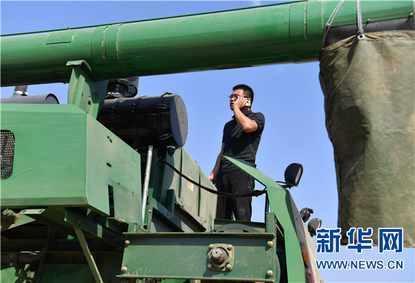 农业麦田“后浪”的农事新说