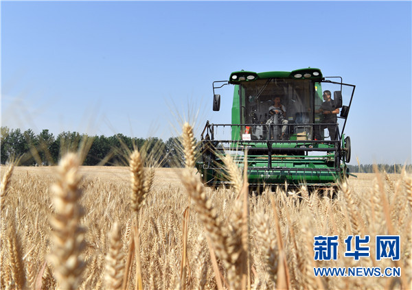 农业麦田“后浪”的农事新说