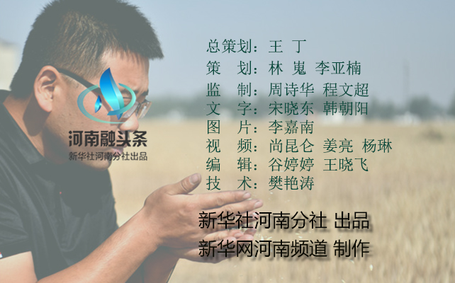 农业麦田“后浪”的农事新说