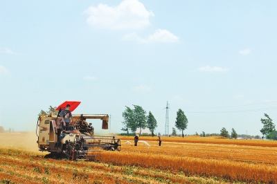 农业合作社田野里的“全能达人”