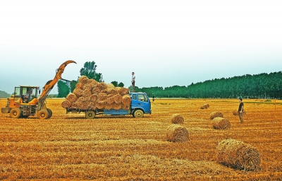 农业合作社田野里的“全能达人”