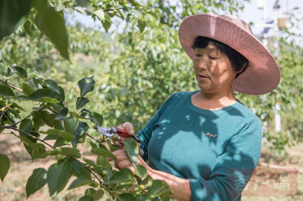金珠百名记者进百村丨关庙村为啥有俩党支部