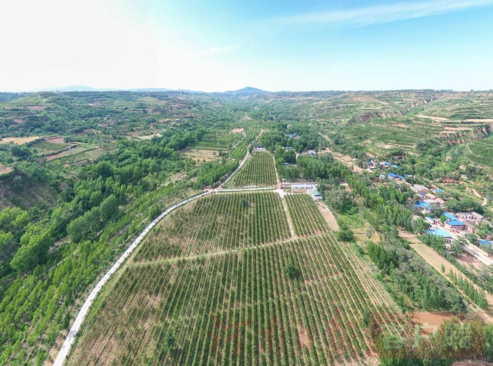 金珠百名记者进百村丨关庙村为啥有俩党支部