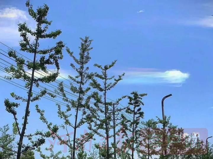 祥云罕见奇观！今天南阳西峡的七彩祥云你们看到了吗？