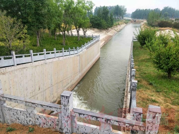 黄河民权30万亩庄稼“喝上”黄河水