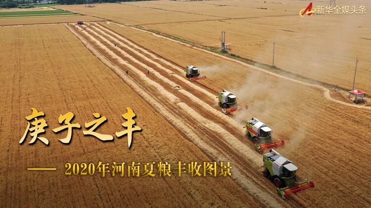 农业庚子之丰——2020年河南夏粮丰收图景