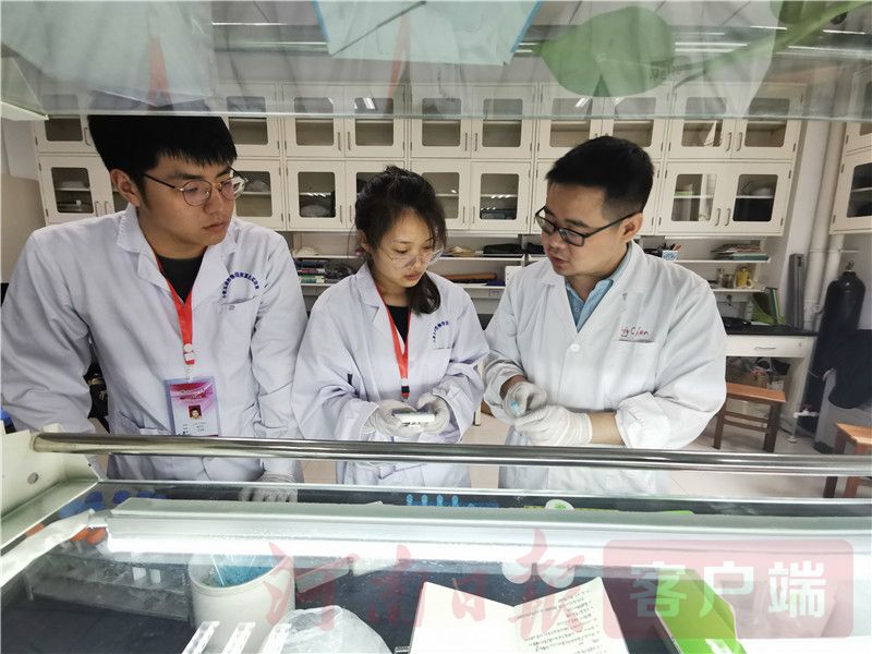 小麦这是你不知道的河南⑧｜解开大地丰收的密码