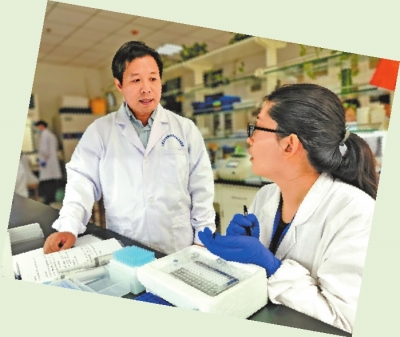 小麦这个实验室超“硬核” 研发几十个小麦玉米新品种多次创造高产纪录