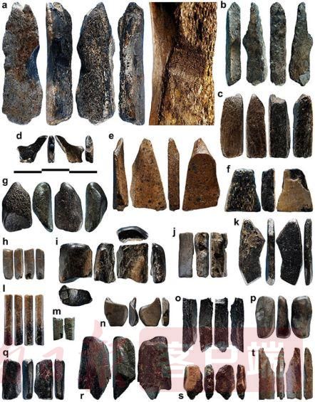 雕塑?距今1.35万年！许昌发现中国最古老雕塑品，将雕塑艺术史前推8000多年