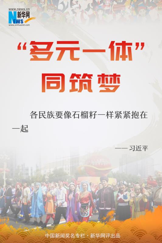 新华网评：“多元一体”同筑梦-大河网