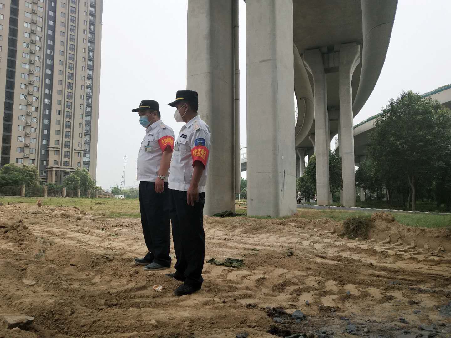 草坪谁干的?约200平米绿油油的草坪 一夜变“秃头”