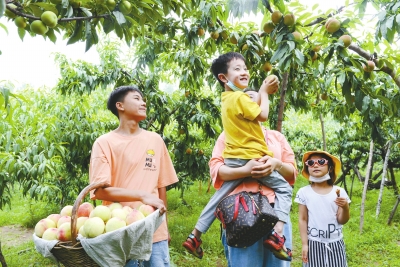 平顶山潘庄村这里有个“潘桃节”
