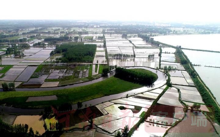 淮南湿地一奇人，十年孤独常相守，不离不弃为了谁？