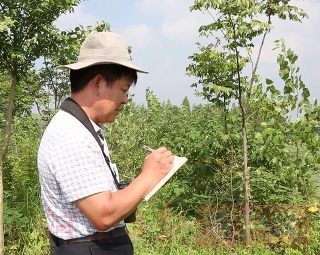 淮南湿地一奇人，十年孤独常相守，不离不弃为了谁？