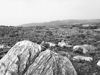 世界防治荒漠化和干旱日世界防治荒漠化和干旱日 | 走近丹江口水库，探访石漠化防治的成功实践