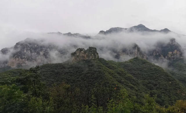 林康河南三地入选国家首批森林康养基地名单