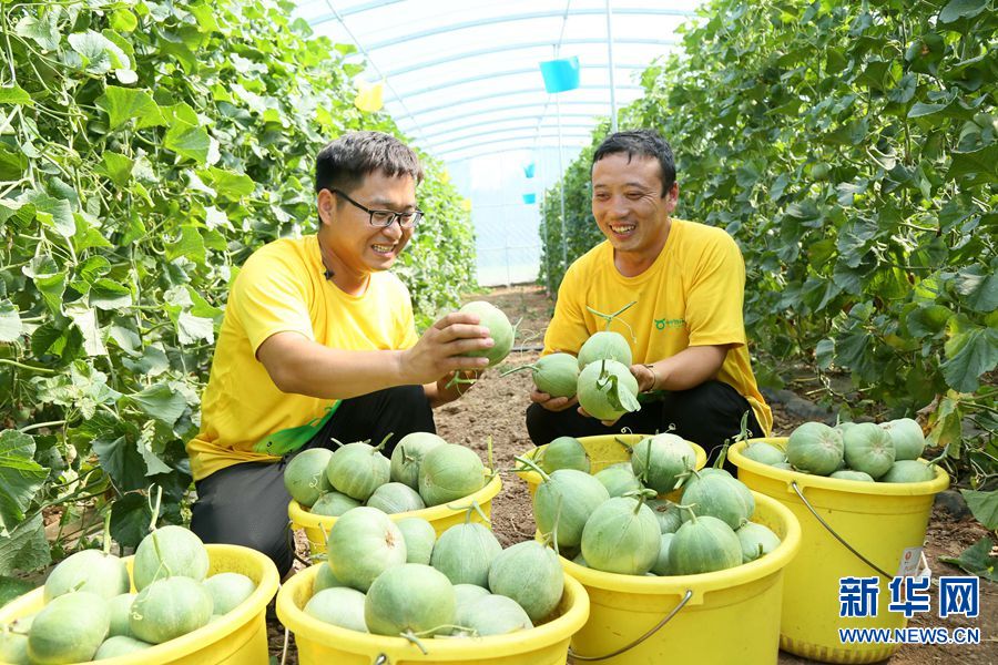三农大学生返乡创业 开启“甜蜜”致富路