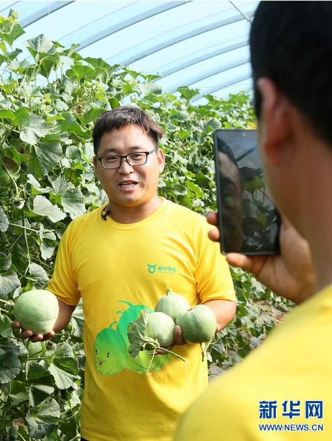 三农大学生返乡创业 开启“甜蜜”致富路