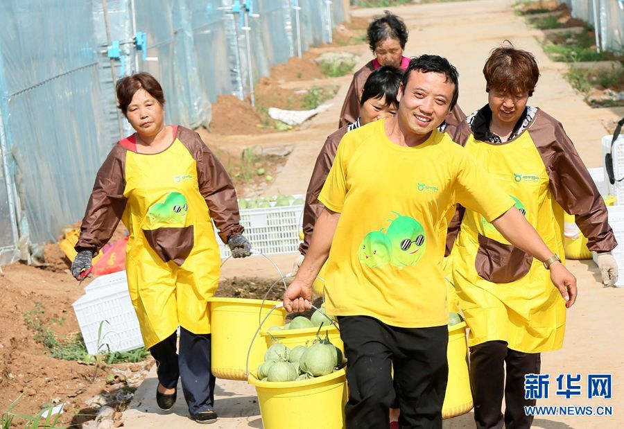 三农大学生返乡创业 开启“甜蜜”致富路