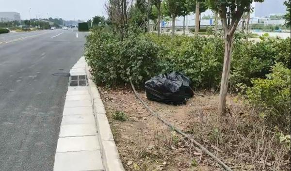 绿化带绿化带里屡现“神秘盒饭”，是赠?是扔?是炒作?还是......