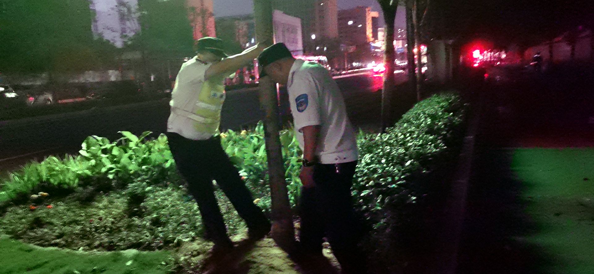 行道树暴雨狂风吹倒行道树 他们合力行动将其扶正