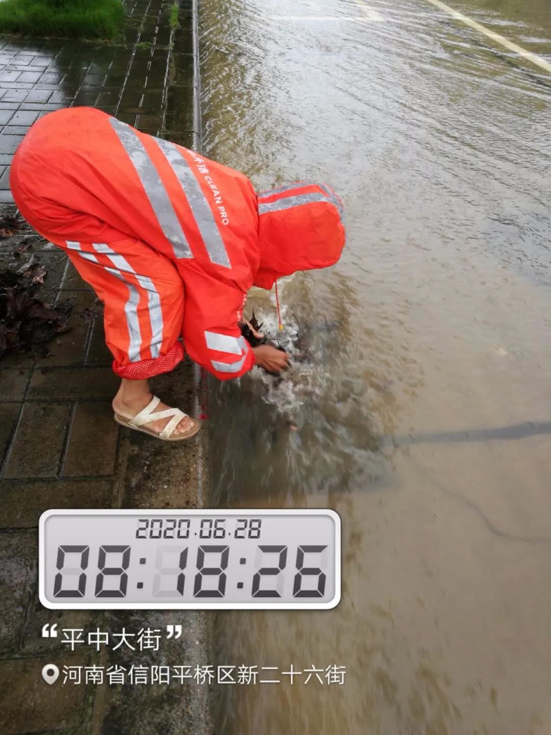 信阳信阳洒水车雨天洒水？官方回应了