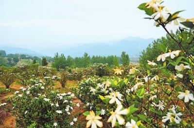 圆通法师前庄村曾隐五寺 古山村田铺大塆