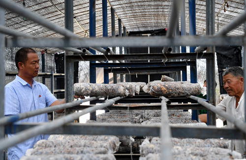 李健|央媒看河南｜“脱贫头雁”独臂撑起“V”型人生