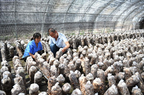 李健|央媒看河南｜“脱贫头雁”独臂撑起“V”型人生