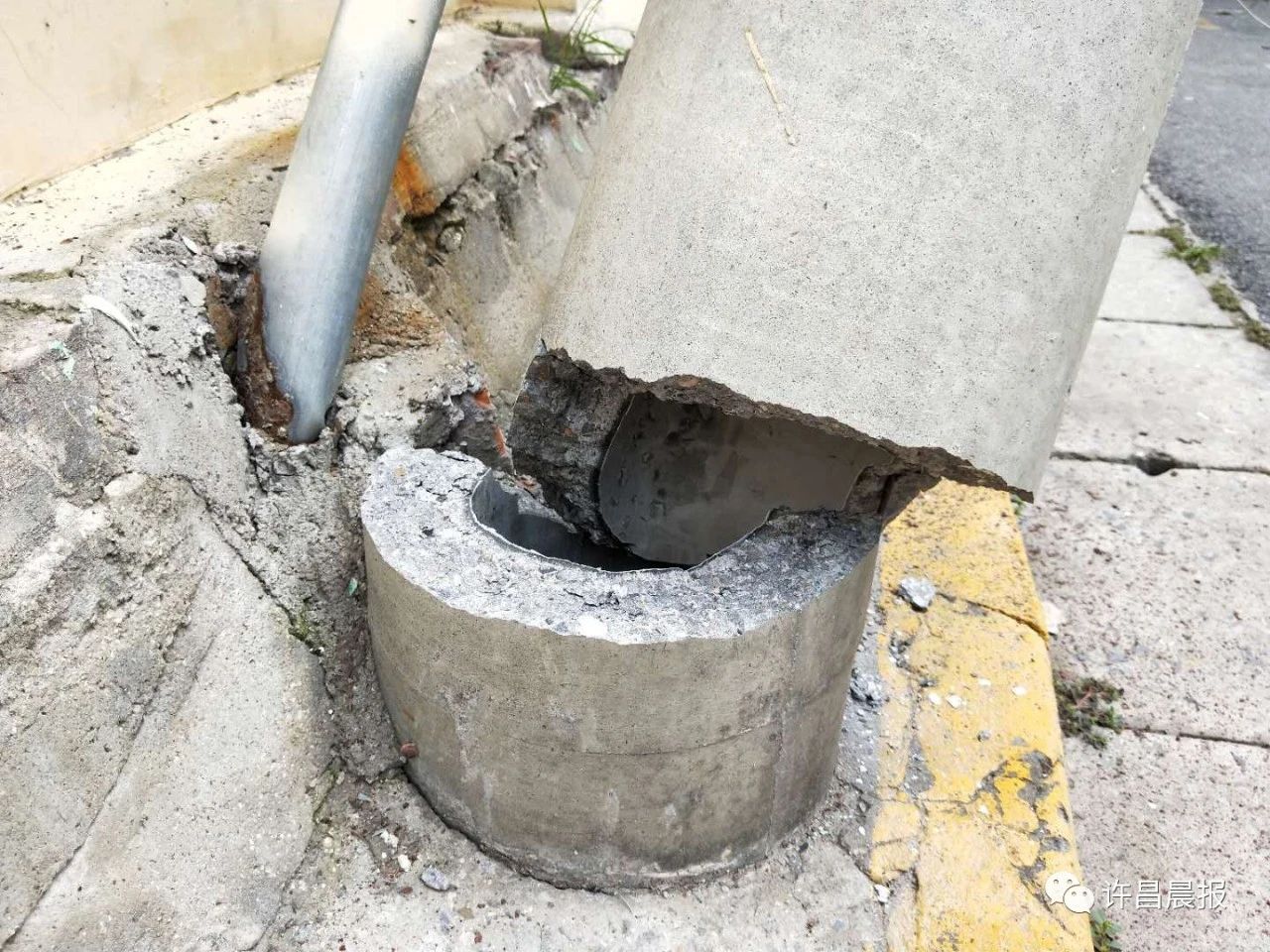 奇闻轶事|祸从天降!直径30厘米的枝干突然断落，她奋力推开两名幼童