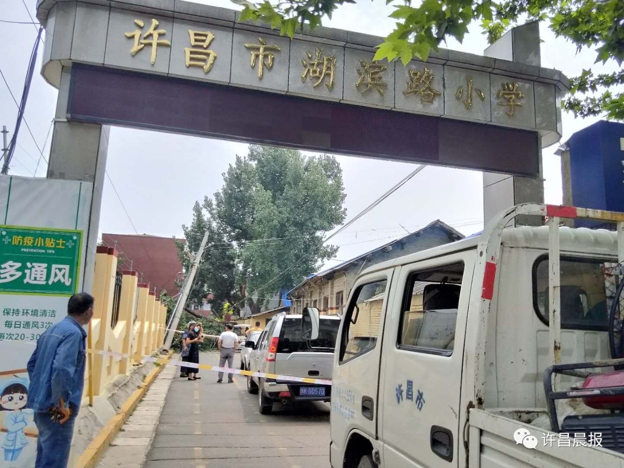 奇闻轶事|祸从天降!直径30厘米的枝干突然断落，她奋力推开两名幼童