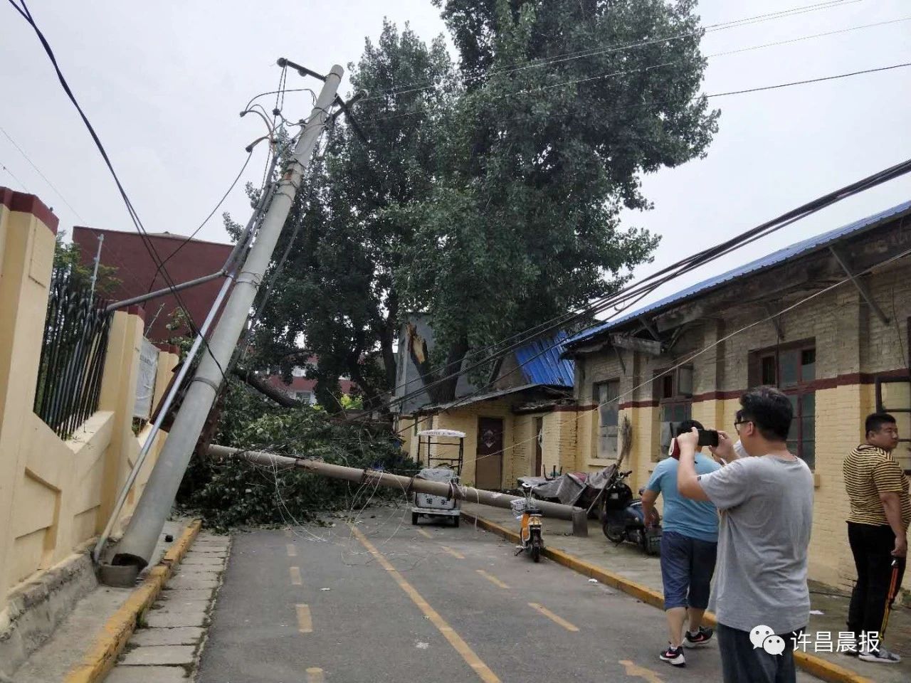 奇闻轶事|祸从天降!直径30厘米的枝干突然断落，她奋力推开两名幼童