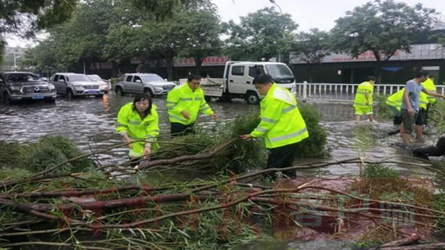 漯河|漯河启动防汛Ⅲ级应急响应，防汛排涝指挥部发出特别提示