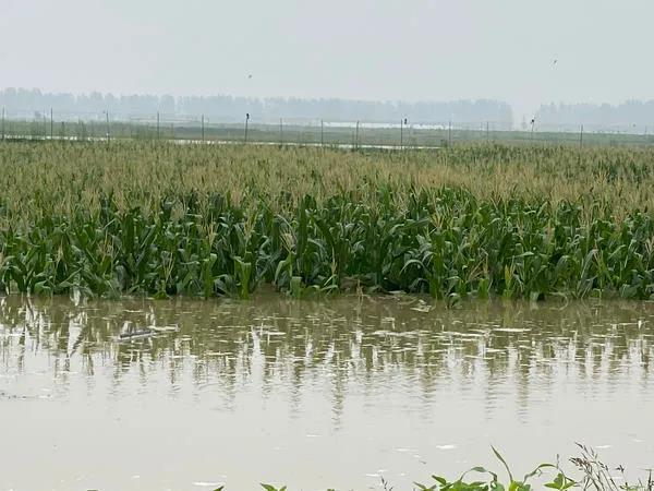 洪水|“皖”手相助，患难“豫”共！安徽，谢谢你！