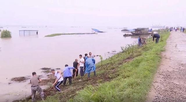 洪水|“皖”手相助，患难“豫”共！安徽，谢谢你！