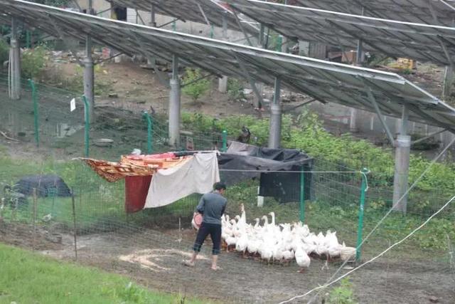 洪水|“皖”手相助，患难“豫”共！安徽，谢谢你！