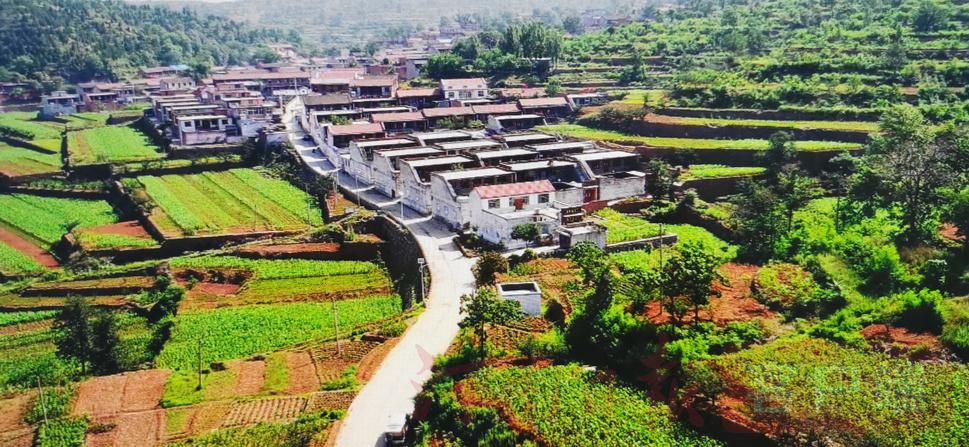 |百名记者进百村丨骑驴问“道”盘山村