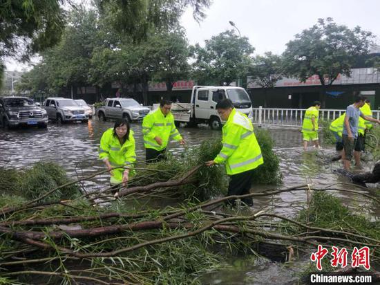 漯河|强降雨致漯河城市内涝、树木倒伏严重