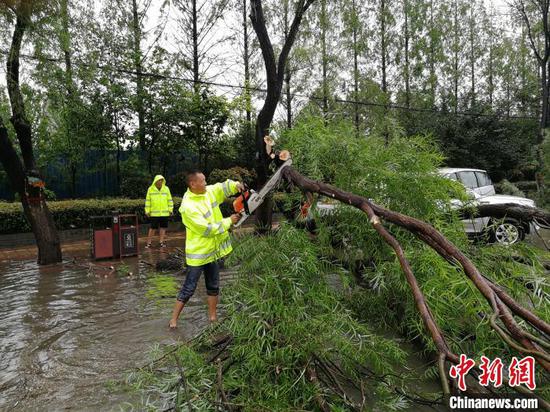 漯河|强降雨致漯河城市内涝、树木倒伏严重