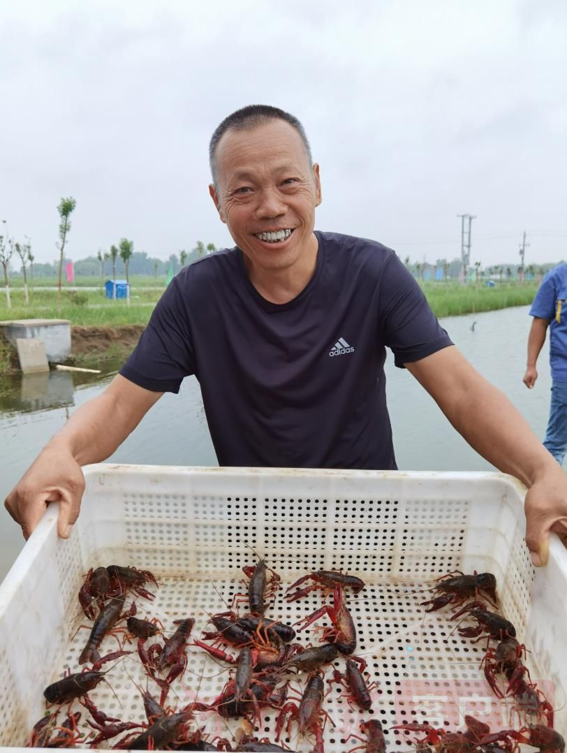 小龙虾|范县绘就“虾经济”大产业