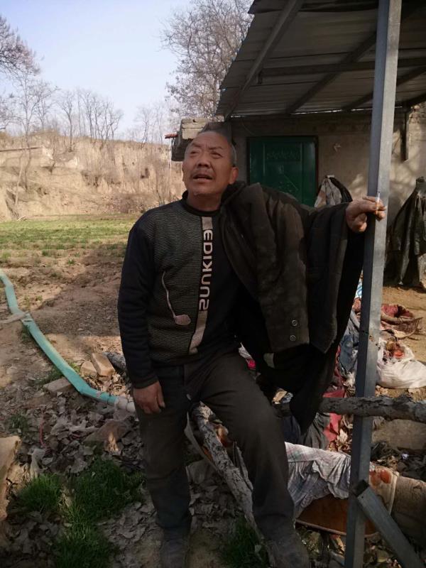 三农|求助！万斤生态韭菜无人问津，70岁菜农心急如焚